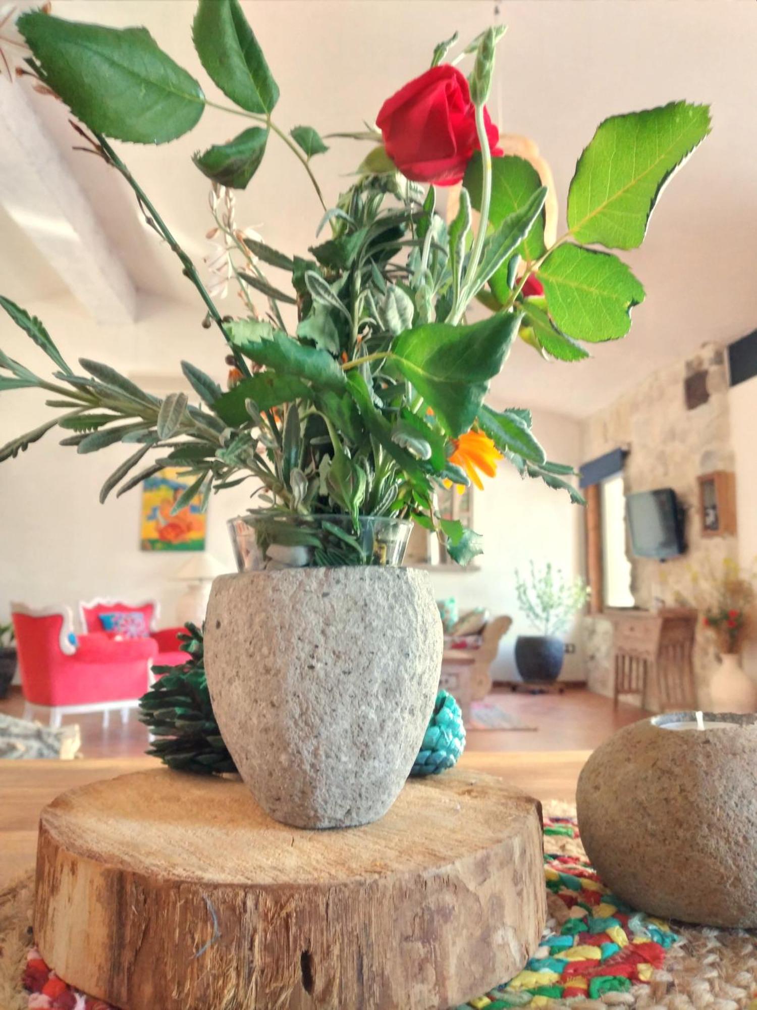 Willa Loft Carriones Castilléjar Zewnętrze zdjęcie